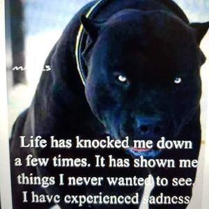 Meet your Posher, Lawrence